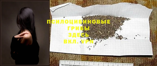 синтетический гашиш Медвежьегорск
