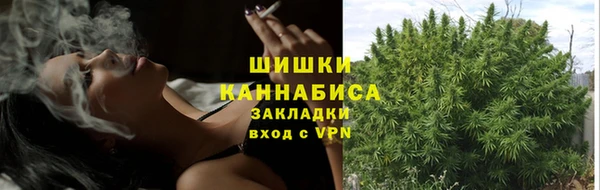 дурь Майский