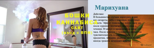 сатива Сатка