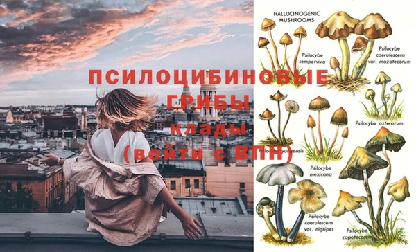 дурь Майский