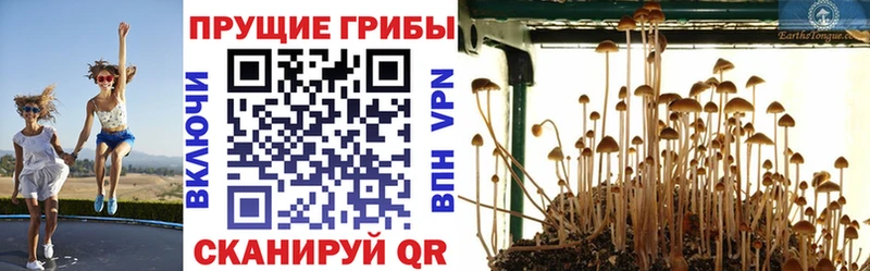 закладки  Нижневартовск  KRAKEN как зайти  Галлюциногенные грибы MAGIC MUSHROOMS 
