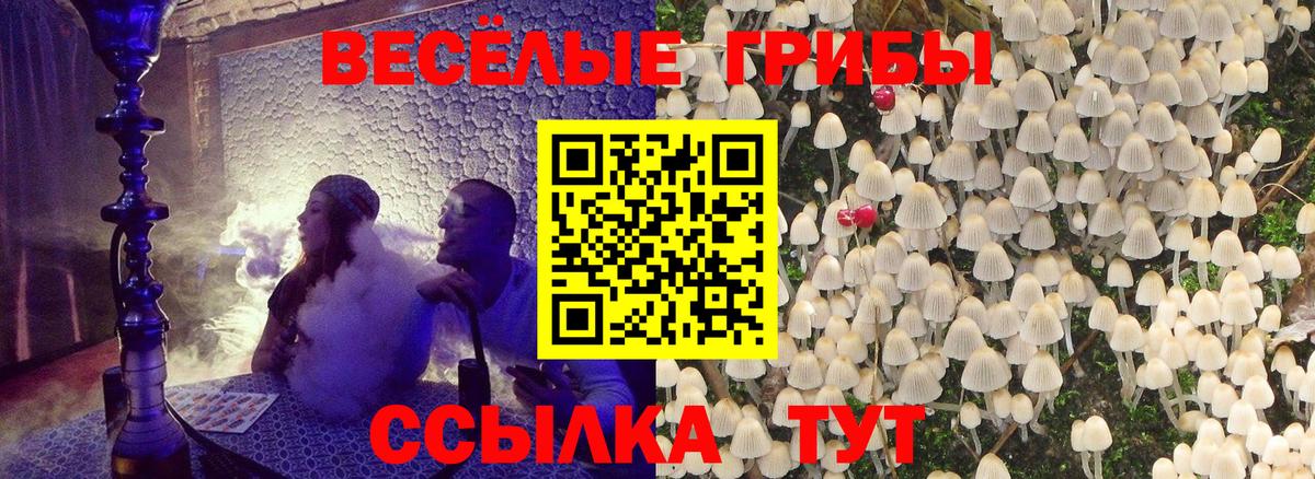 Галлюциногенные грибы GOLDEN TEACHER  Вход с VPN  даркнет сайт  Нижневартовск 
